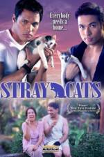 Watch Stray Cats 123movies