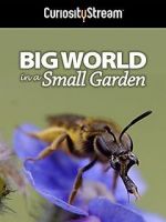 Big World in a Small Garden (TV Short 2016)