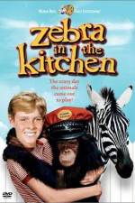 Zebra in the Kitchen