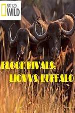 National Geographic - Blood Rivals: Lion vs. Buffalo