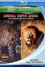 Africa's Super Seven