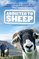 Addicted to Sheep