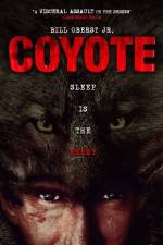 Coyote