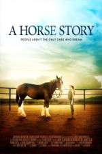 A Horse Story