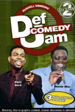 Def Comedy Jam All-Stars Vol. 2