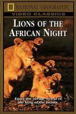 Lions of the African Night