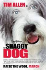 The Shaggy Dog