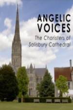 Angelic Voices The Choristers of Salisbury Cathedral