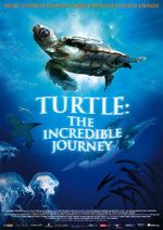 Turtle: The Incredible Journey