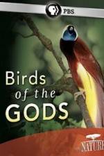 Watch Birds Of The Gods 123movies