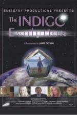 The Indigo Evolution