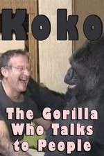 Koko: The Gorilla Who Talks to People