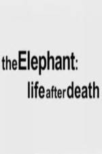 The Elephant - Life After Death