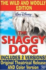 The Shaggy Dog