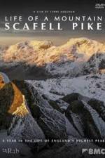 Life of a Mountain: A Year on Scafell Pike