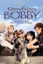 Greyfriars Bobby The True Story of a Dog