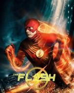 The Flash: Test Run (Short 2024)