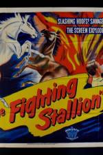 The Fighting Stallion