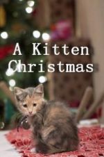 Watch A Kitten Christmas 123movies