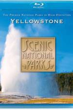 Scenic National Parks- Yellowstone