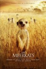 The Meerkats