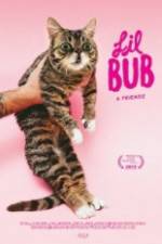 Lil Bub & Friendz