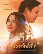 Watch The Last Goodbye 123movies