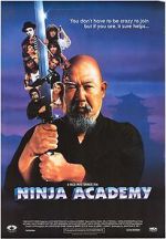 Ninja Academy