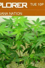 Watch Marijuana Nation 123movies