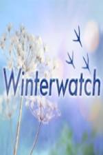 Watch Winterwatch 123movies