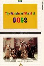 The Wonderful World of Dogs