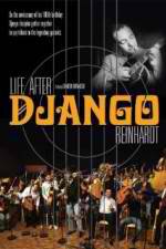 Life After Django Reinhardt