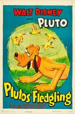 Pluto\'s Fledgling