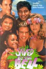 Saved by the Bell Hawaiian Style