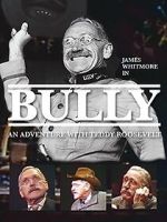 Bully: An Adventure with Teddy Roosevelt