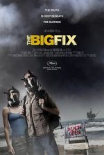 The Big Fix