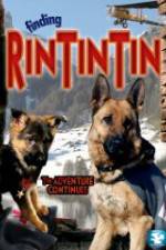 Finding Rin Tin Tin