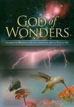 God of Wonders