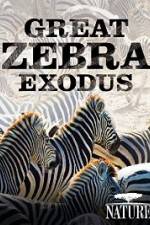 Nature: Great Zebra Exodus