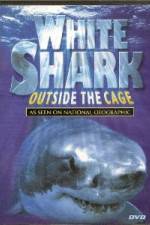 National Geographic white shark:outside the cage