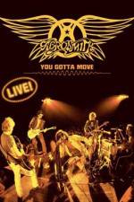 Aerosmith You Gotta Move