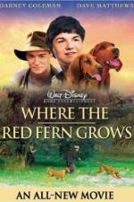 Where the Red Fern Grows