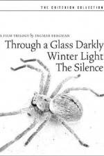 Through a Glass Darkly