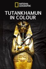 King Tut in Color