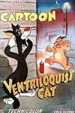 Ventriloquist Cat