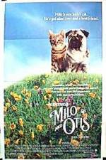 Milo and Otis