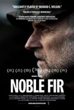 Noble Fir