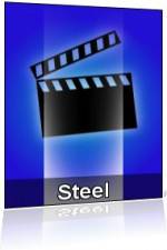 Steel