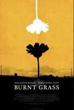 Burnt Grass