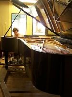 Note by Note: The Making of Steinway L1037